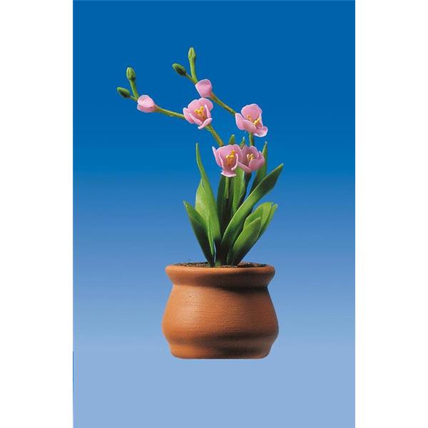 Pola G 331983 Blumenkübel mit Orchideen