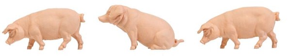 Pola G 331895 - 3 Schweine